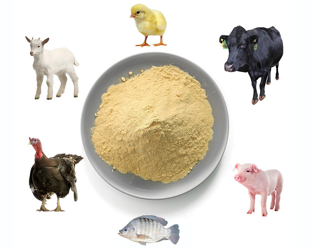 Product Application3 Product Application3